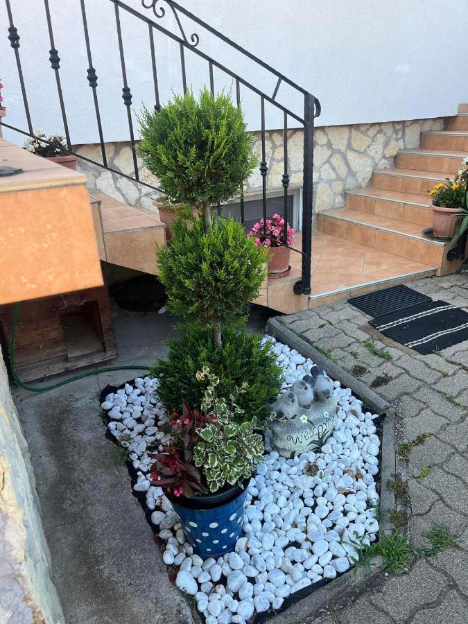 Apartment Rege *