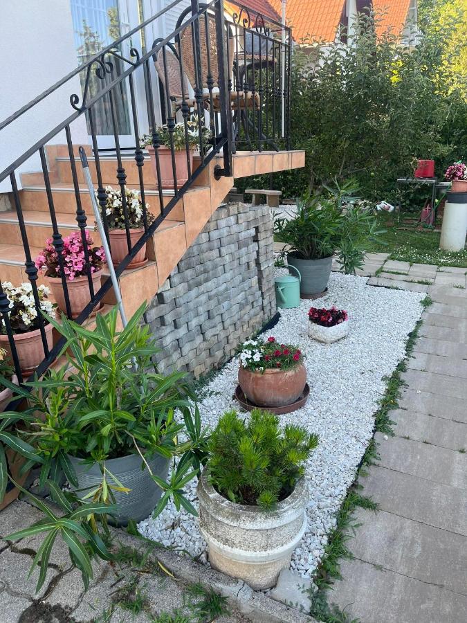 Rege Apartment Alsoors