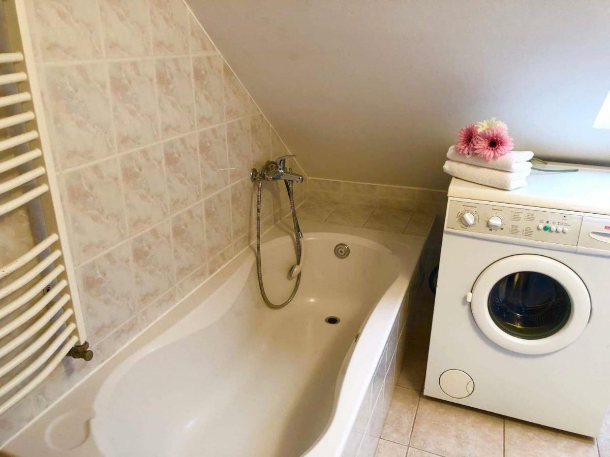 Apartment Rege *