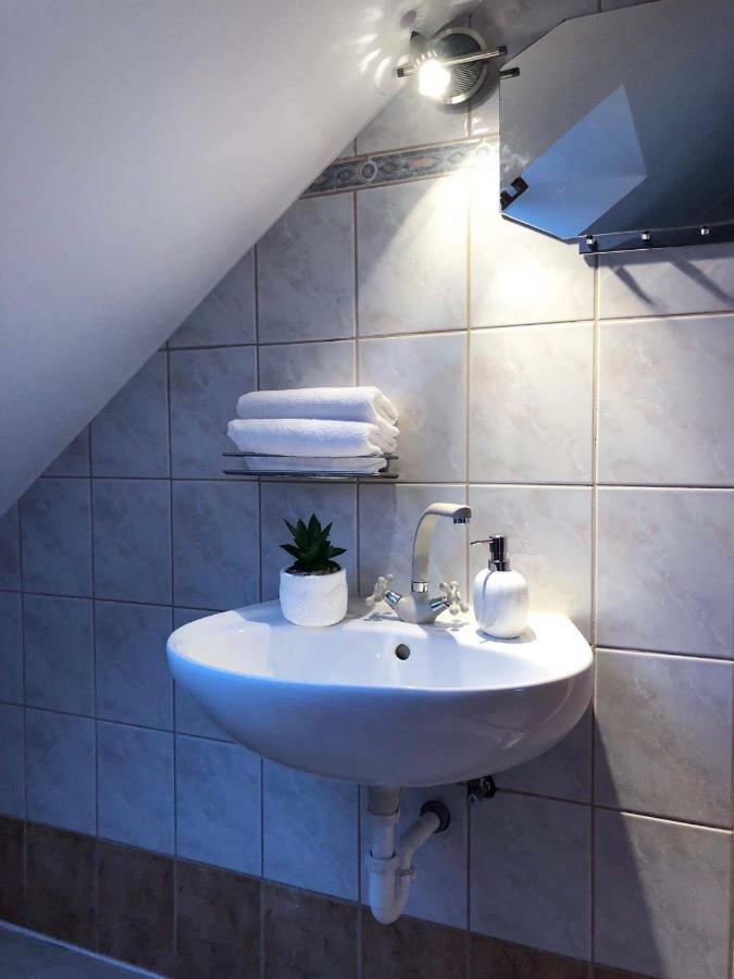 Apartment Rege *